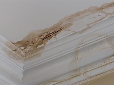 What should I do if my roof is leaking?