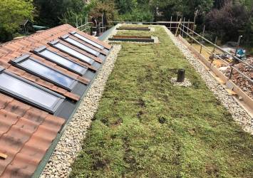 The finished green roof we installed. 