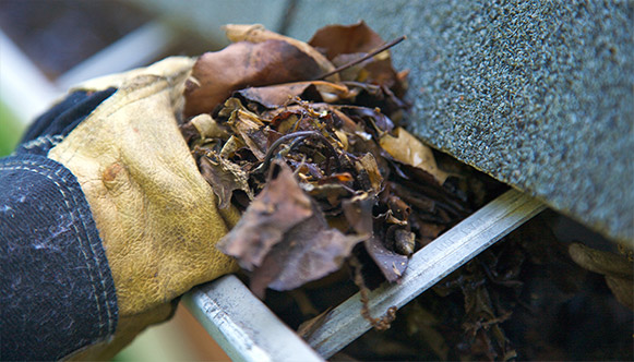 Roofline Inspection