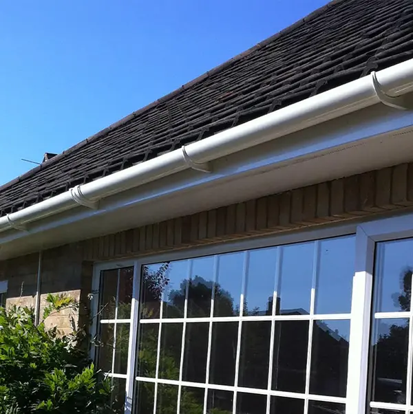 Fascias